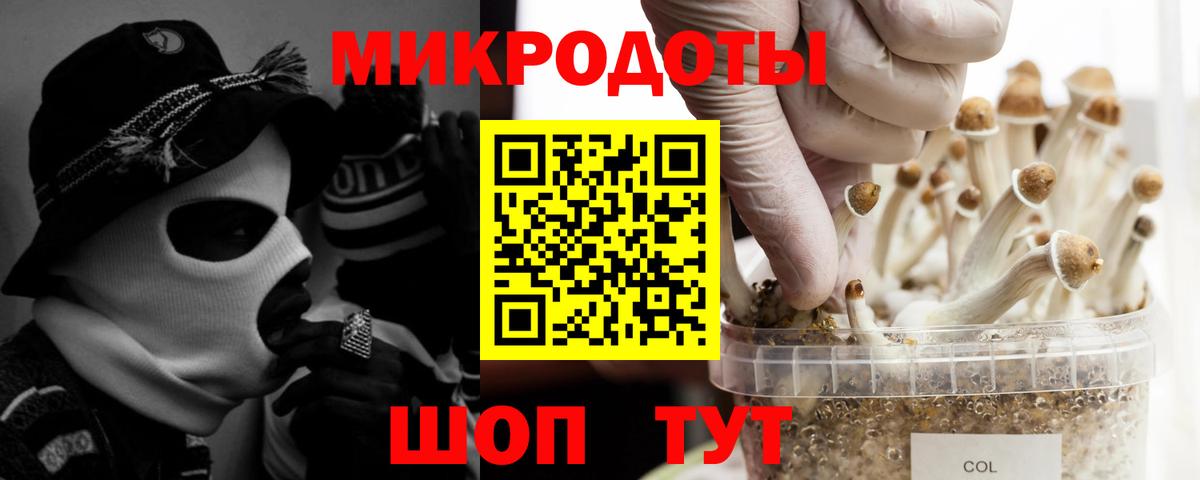 Алейск  Псилоцибиновые грибы GOLDEN TEACHER  Вход с VPN 